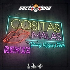 Young Luigui ft. Sech - Cositas Malas (Remix)
