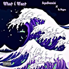 Aye Genuiz Ft.Q.Hype-What I Want