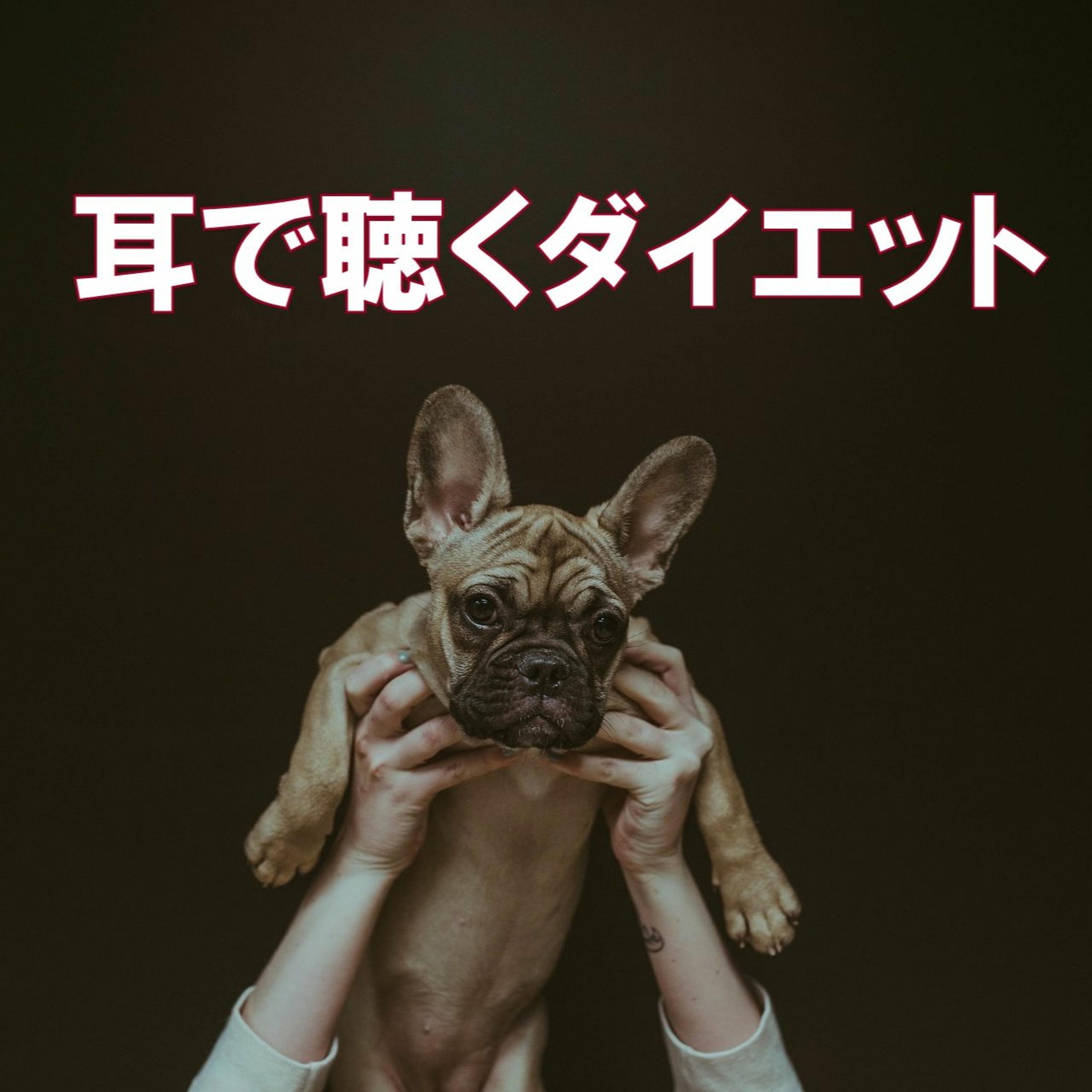 第1回 痩せたいのに痩せられない理由