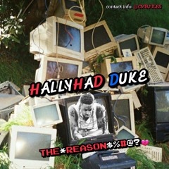 HallyHad Duke - The Reason