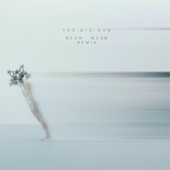 Robot Koch _ The Big Now (Neon Meow Remix) (High Quality download in description)