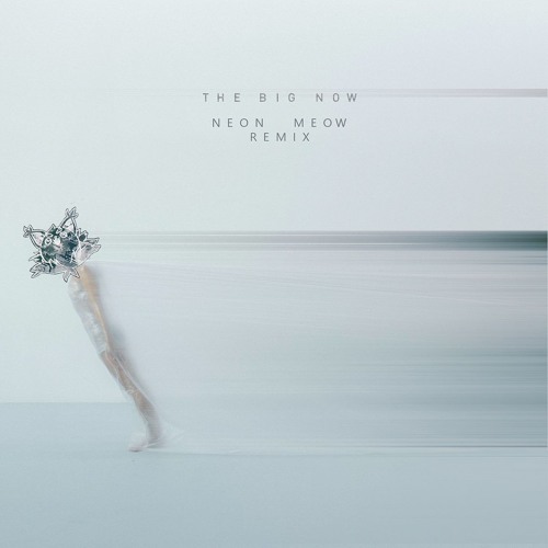 Robot Koch _ The Big Now (Neon Meow Remix) (High Quality download in description)