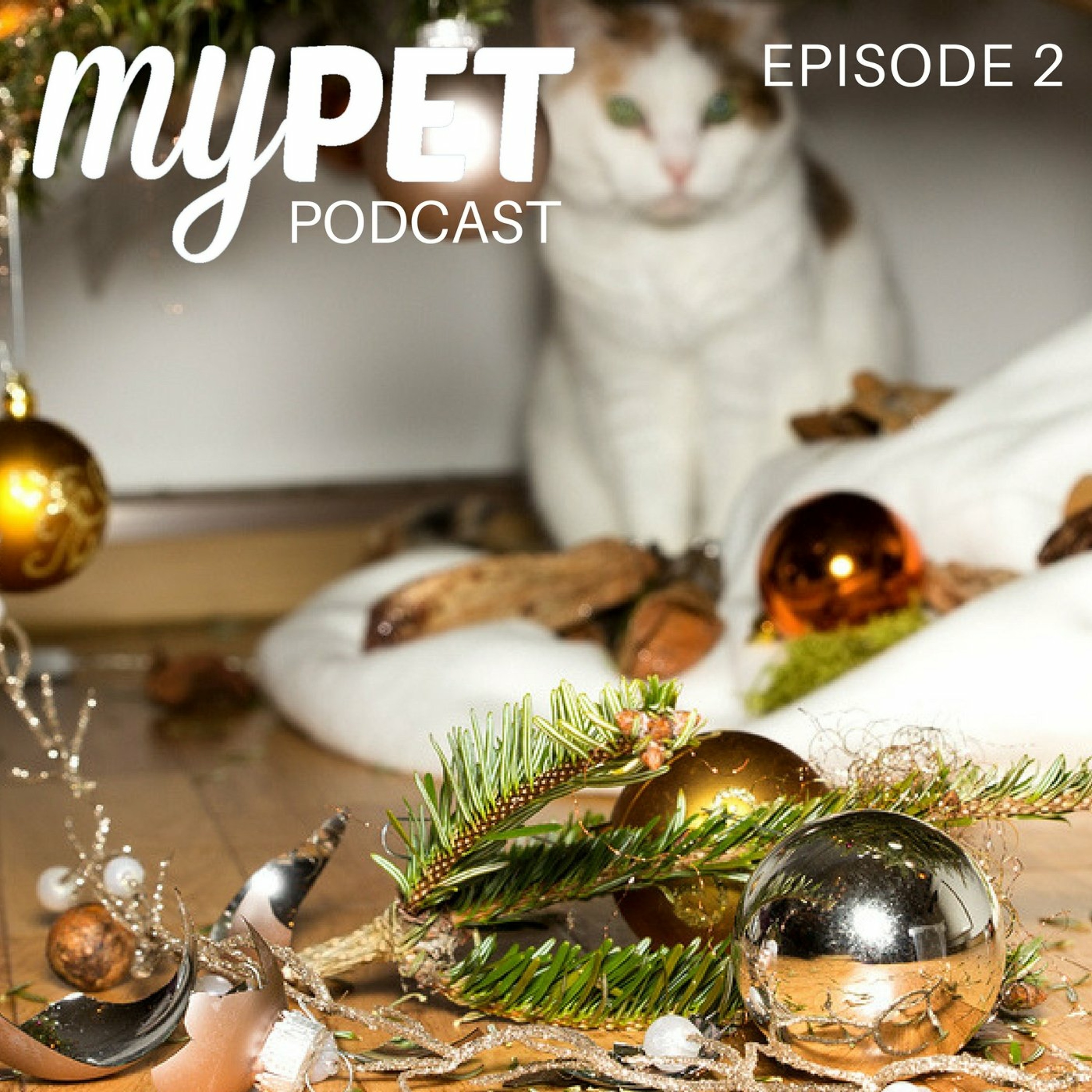 Navigating the Christmas Cheer episode artwork