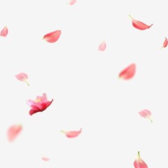 Weightless