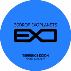 Terrence Dixon - Digital Ladder (Dasha Rush Remix)
