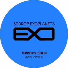 Terrence Dixon - Digital Ladder (Dasha Rush Remix)