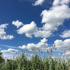 goodnight lullaby (live in studio)