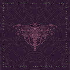 Sex Of Insects — All I Have A Know (Original Mix)