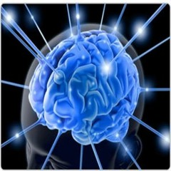 Der Nipsild-Subliminal-Generator