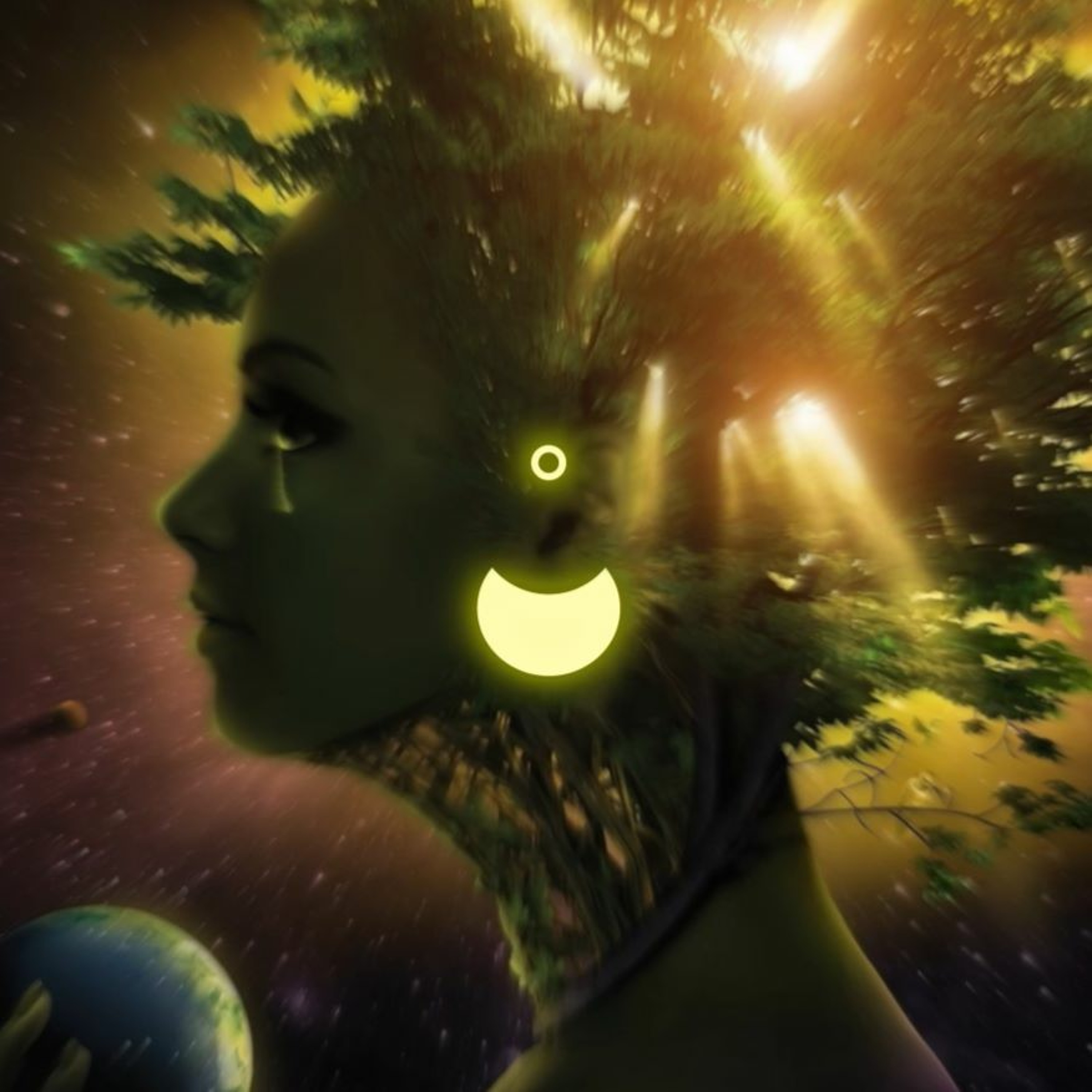 Forest episode artwork