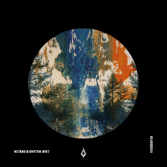 metanoia RHYTHM #007 - voodoofox