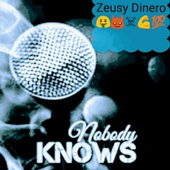 -Zeusy Dinearo-Knobody Knows.mp3