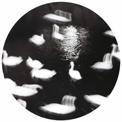 DJ Kush Boogie - The Spot