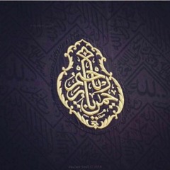 الشيخ سيد متولي _قصار الصور