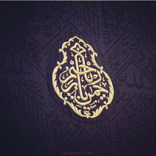 الشيخ سيد متولي _قصار الصور