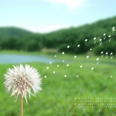 Gió Vẫn Hát - Long Phạm