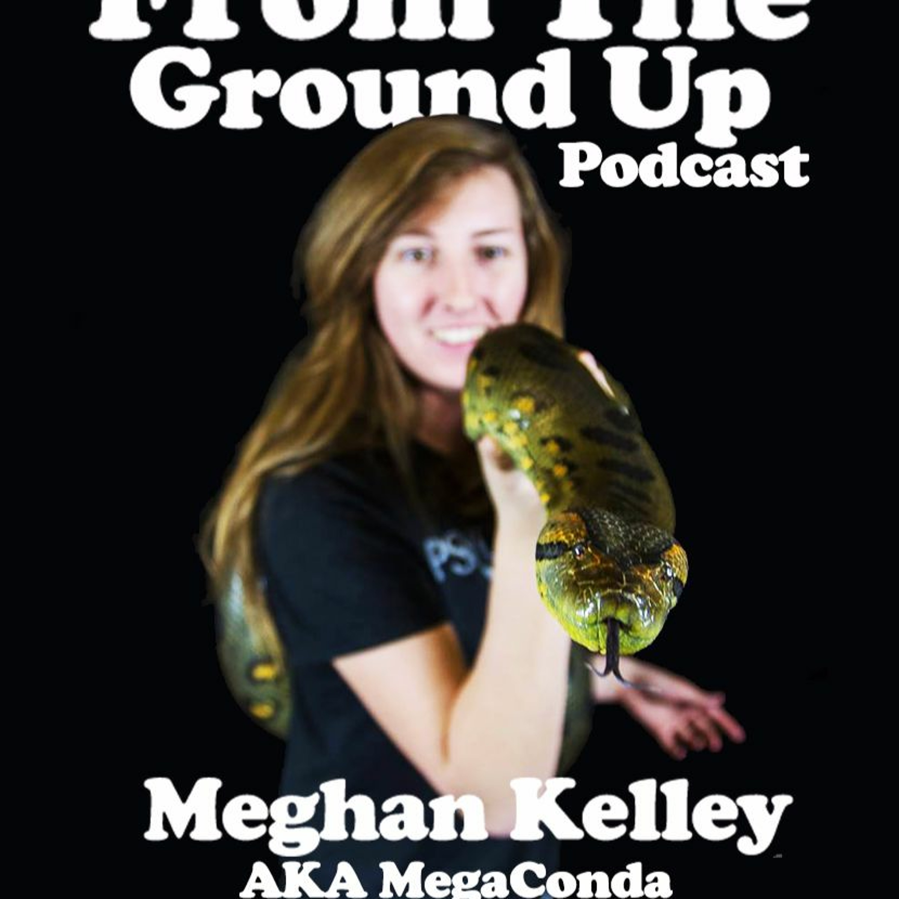 Modern Medusa Reptile Podcast - Where we talk everything cold-blooded (Snake Podcast)