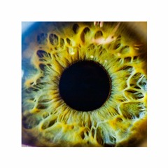 Valse Veronika - Devil In The Details (Placebo Cover)