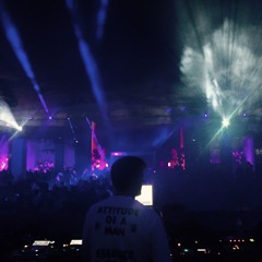 Tim Engelhardt Live @ The Cityfox Experience, New York, 9.9.2017