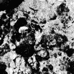 Intertidal Waters "The Unbearable Weight Of Depression" | VP36