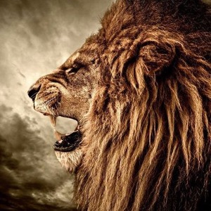 shay vume (original mix)
