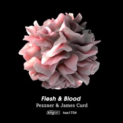 Premiere: Pezzner & James Curd 'Flesh & Blood' (Pezzner Version)