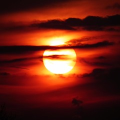 Fraktal Tribe - Bloody Sunset