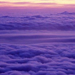 紫雲 P U R P L E C L 0 U D S