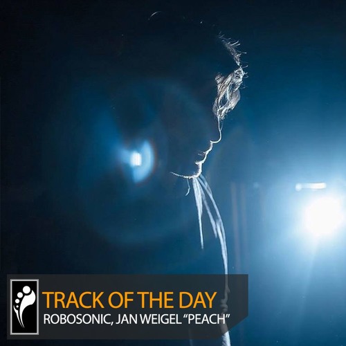 Track of the Day: Robosonic, Jan Weigel “Peach”