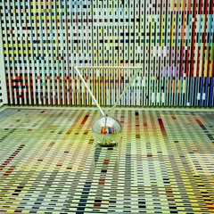 Eva Schlegel - Seismic Activity