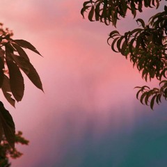 Somewhere Only We Know