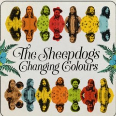 The Sheepdogs I've Got A Hole Where My Heart Should Be LIVE FM96