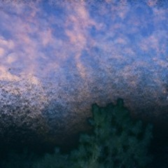 3 AM (Prod. Gnarls P)