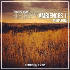 AMB06 High Desert Ambiences 1: Miniature