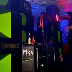 La Lutinerie Sauvage 01.12.17_une partie de la part 1