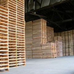 Four Weeks (Week 48 - Holiday)