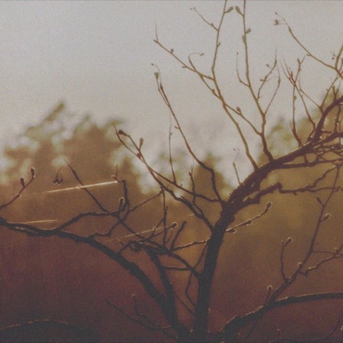 transience (w/ leavv)