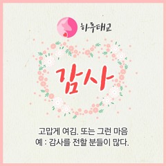 [텐박스] 하루태교 - 감사