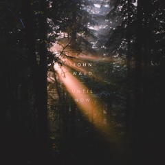 Out of Hiding - Steffany Gretzinger