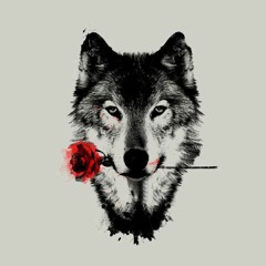 The Wisdom Of Wolves