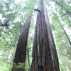 Demi Lovato - La La Land