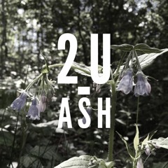 2U (cover) ASH