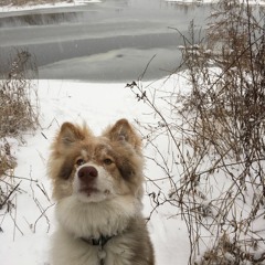 The 20 Year Build Up