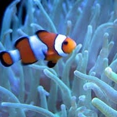 Welcome To The Party, Foreign Party  - 12:5:17, 10.08 PM