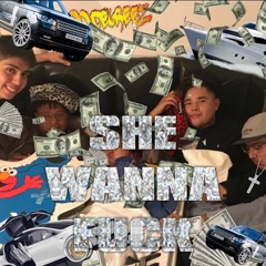 SHE WANNA FUCK
