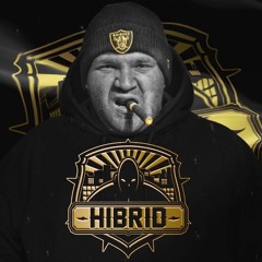 Hibrid - Patkányok Világa (NLS REMIX 3