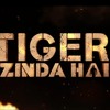 Dil Diyan Gallan Song Tiger Zinda Hai Salman Khan Katrina Kaif Atif Aslam Mp3
