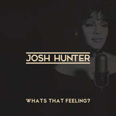 Josh Hunter - What's That Feeling? [FREE DOWNLOAD]