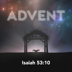 4. Advent - The Plan - Audio Sermon By Paul David Tripp