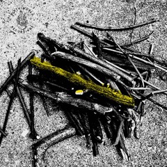 Download: HHNOI - Wet